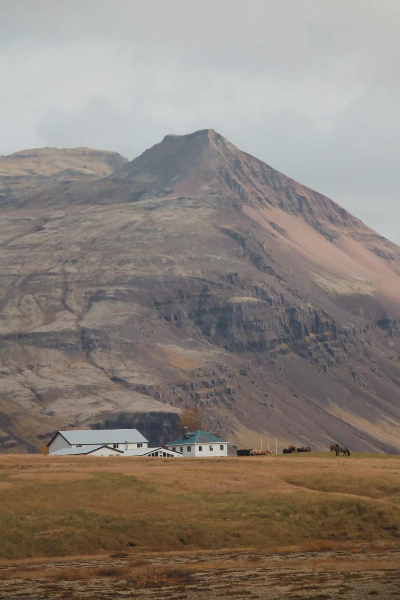 Glacier World - Hoffell Guesthouse Dış mekan fotoğraf