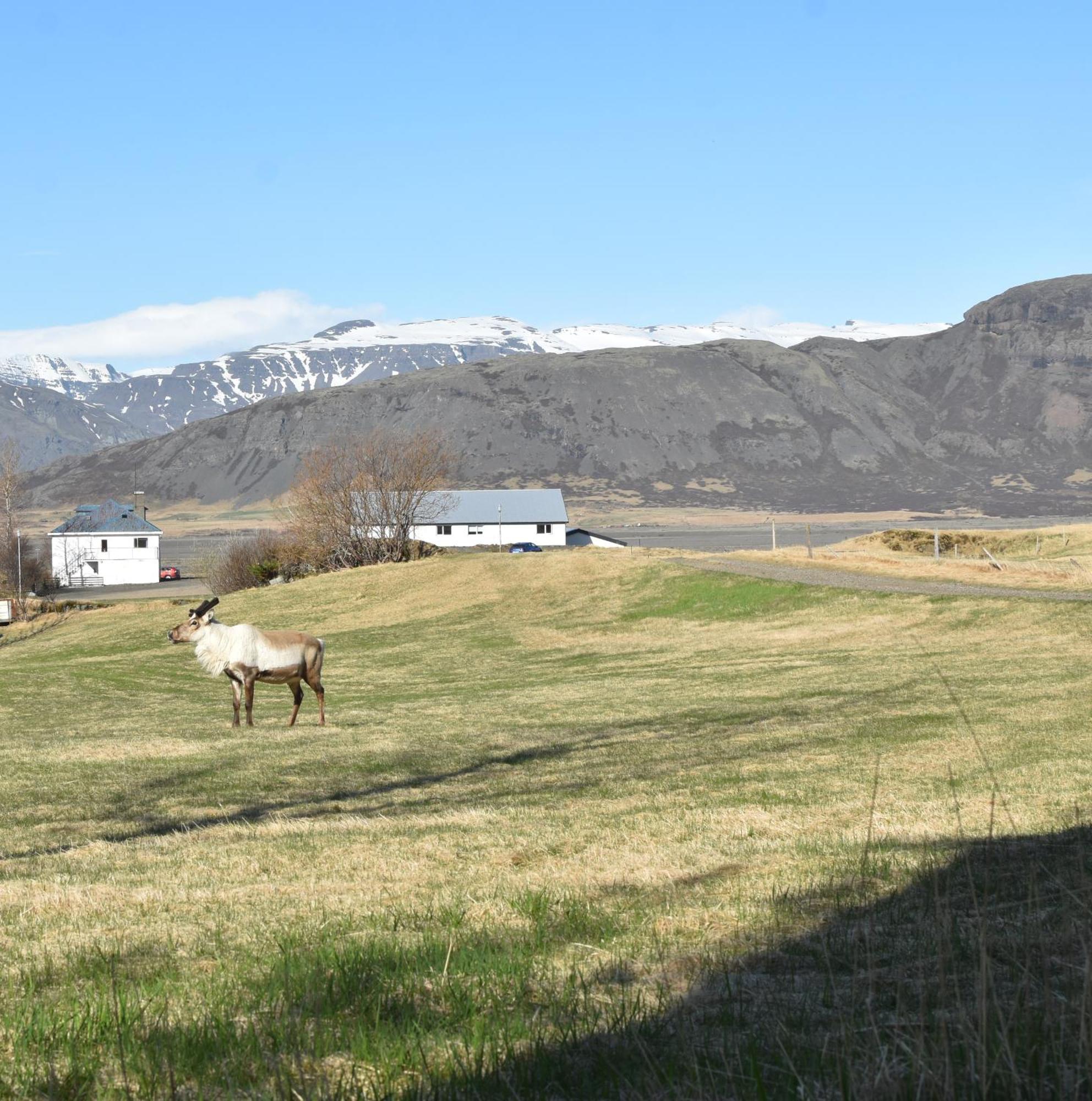 Glacier World - Hoffell Guesthouse Dış mekan fotoğraf