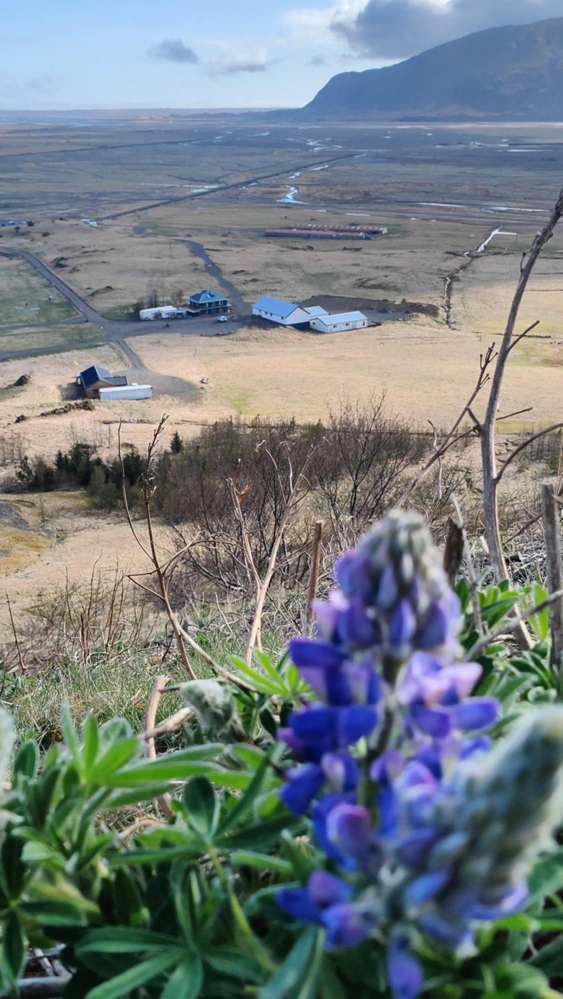 Glacier World - Hoffell Guesthouse Dış mekan fotoğraf